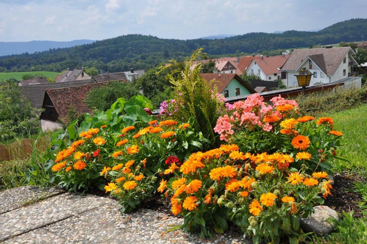 Gasthof Adler Guettingen Guttingen Exteriér fotografie